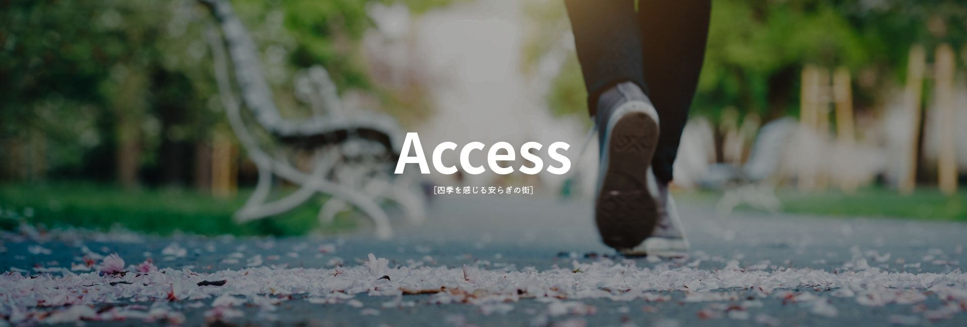 Access Access