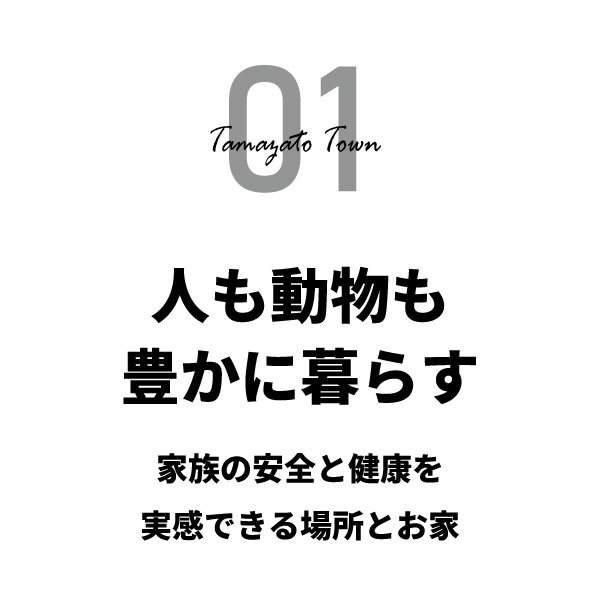 01 01